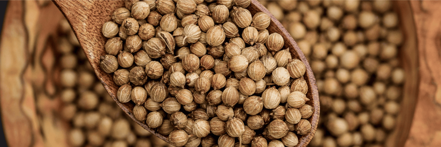 “Coriander Seeds (Dhaniya): The Flavorful Spice for Taste & Wellness”